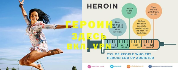 гидра Надым
