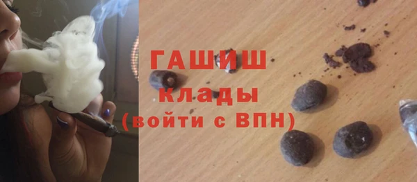 гидра Надым