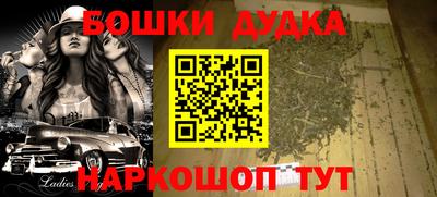 гашик Дубна