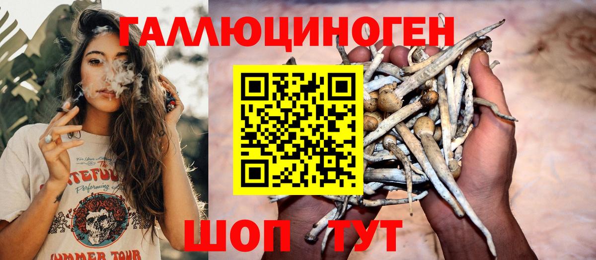 Галлюциногенные грибы Psilocybe  Фурманов 