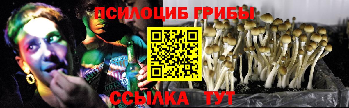 Галлюциногенные грибы мухоморы Фурманов